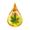 hemp-essential-oil-drop